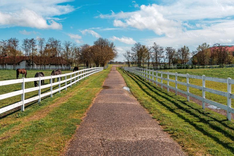 Horse Fence Replacement in Pearland, TX